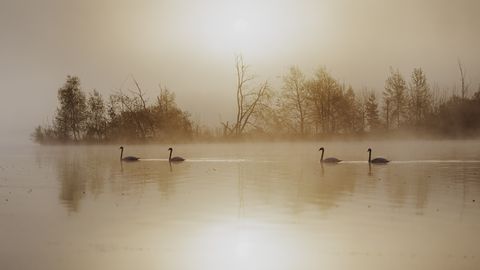 Синоптики рассказали о погоде в ближайшие дни