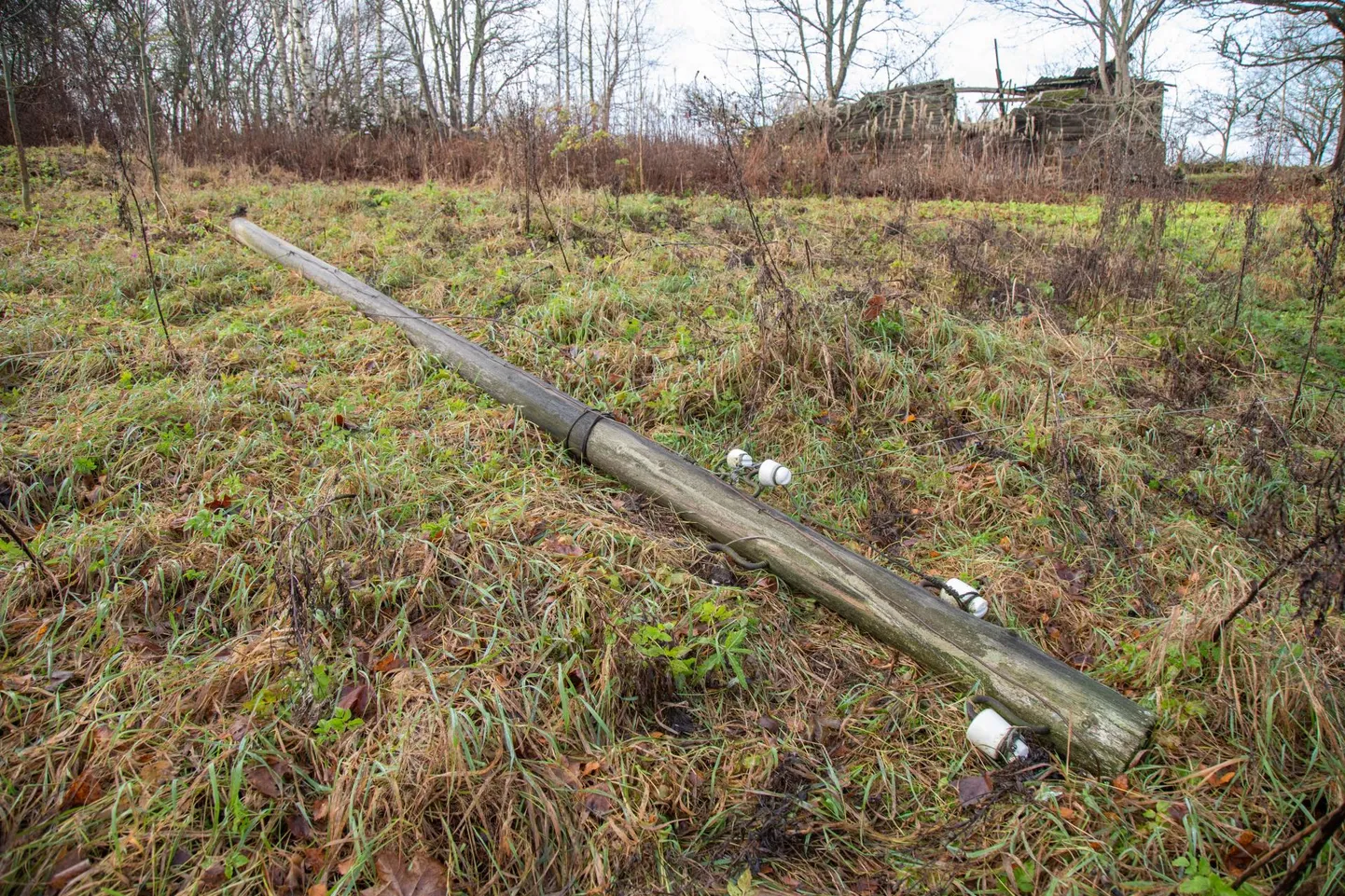 Tugeva tuule tõttu oli elektrikatkestusi.