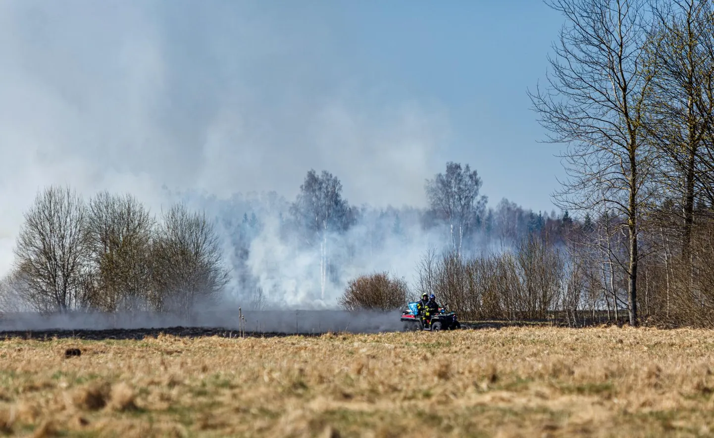 Tohera külas põles pühapäeval umbes kaks hektarit kulu ja metsaalust. Foto on illustreeriv.