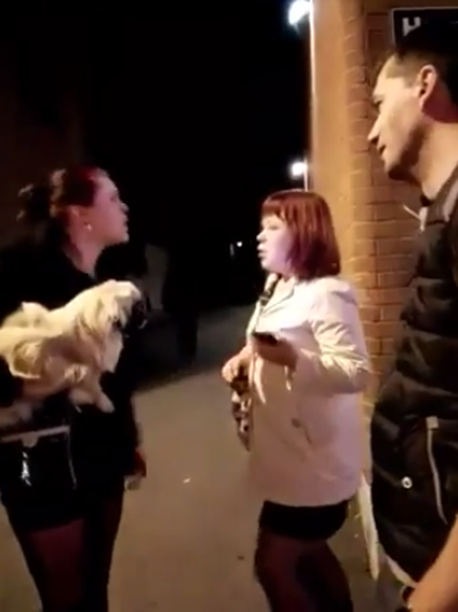 Naine ässitas ööklubi ees teisele naisele koera kallale