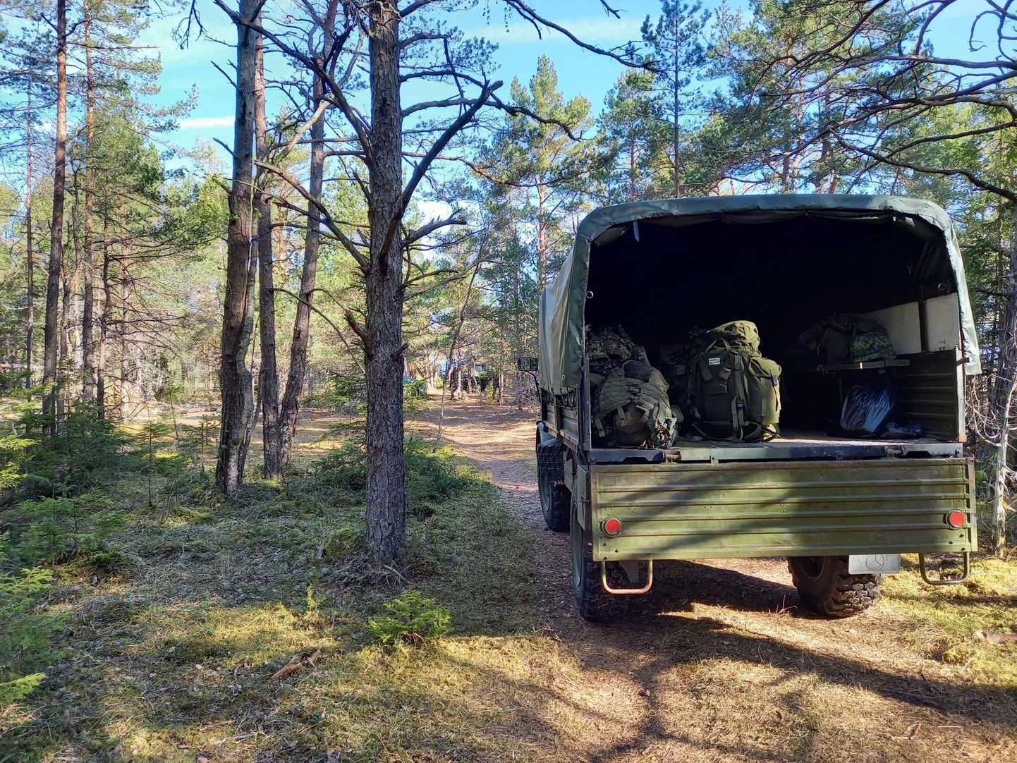 Siin lõpeb metsatee. Kaitseliitlased on jõudnud Saaremaa põhjarannikule.
