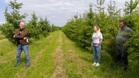 Viljandimaa seemlad kujundavad Eesti metsade tulevikku