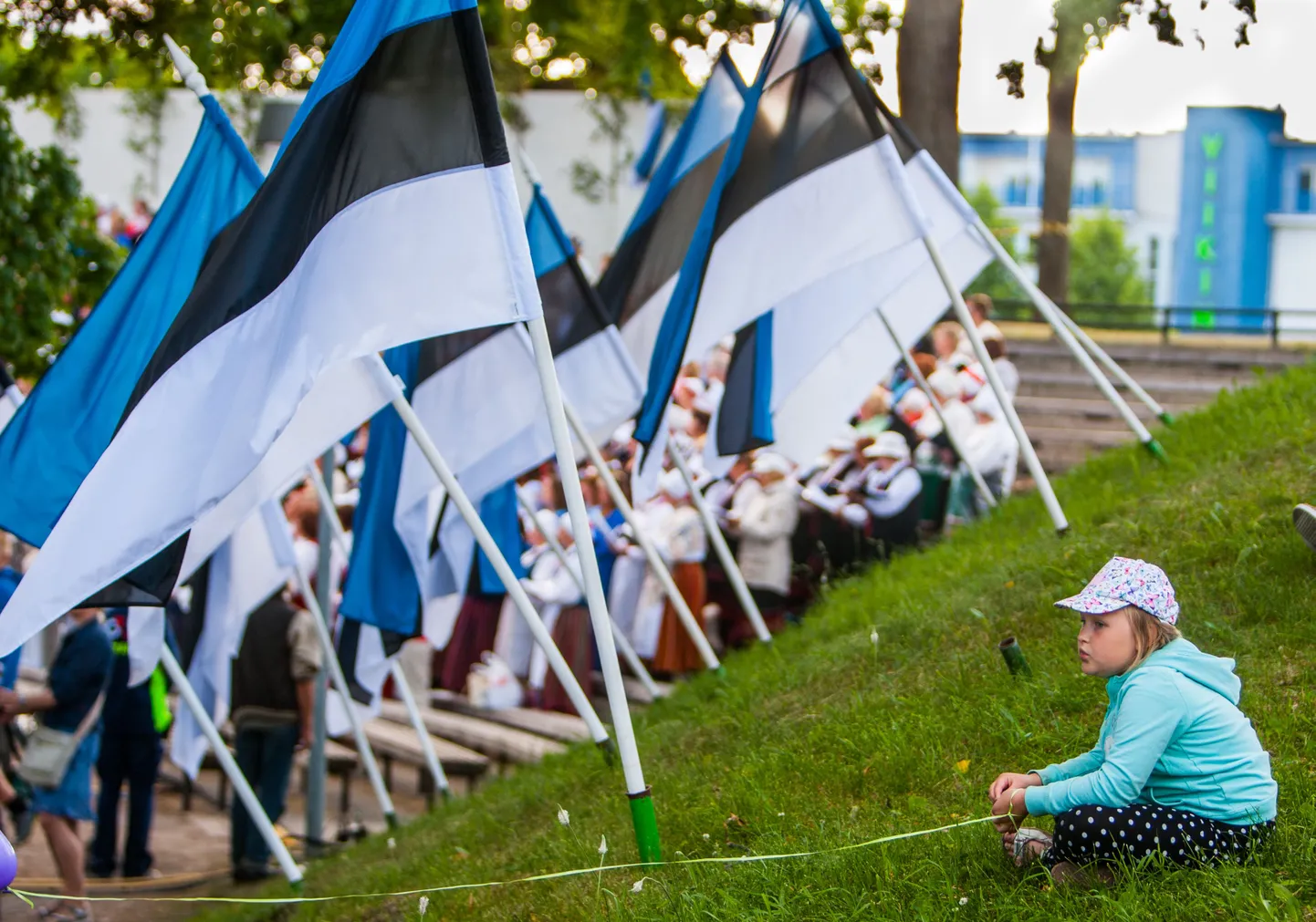 Eesti lipud.