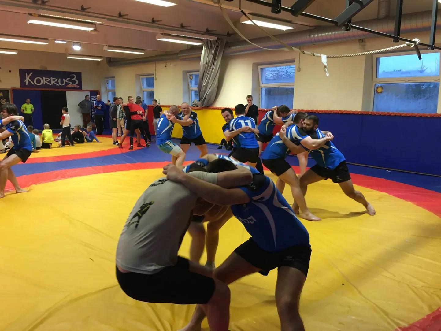 Ragbikoondise maadlustrenn