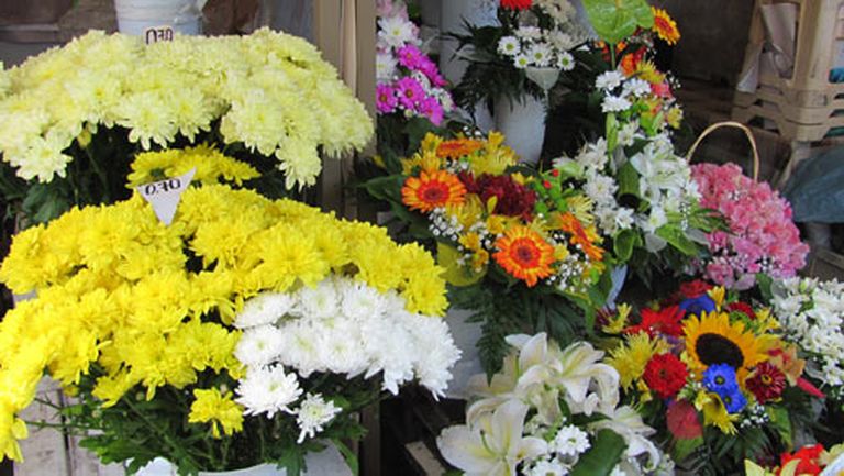 Dzelteni ziedi ir vieni no populārākajiem pirmajā septembrī 