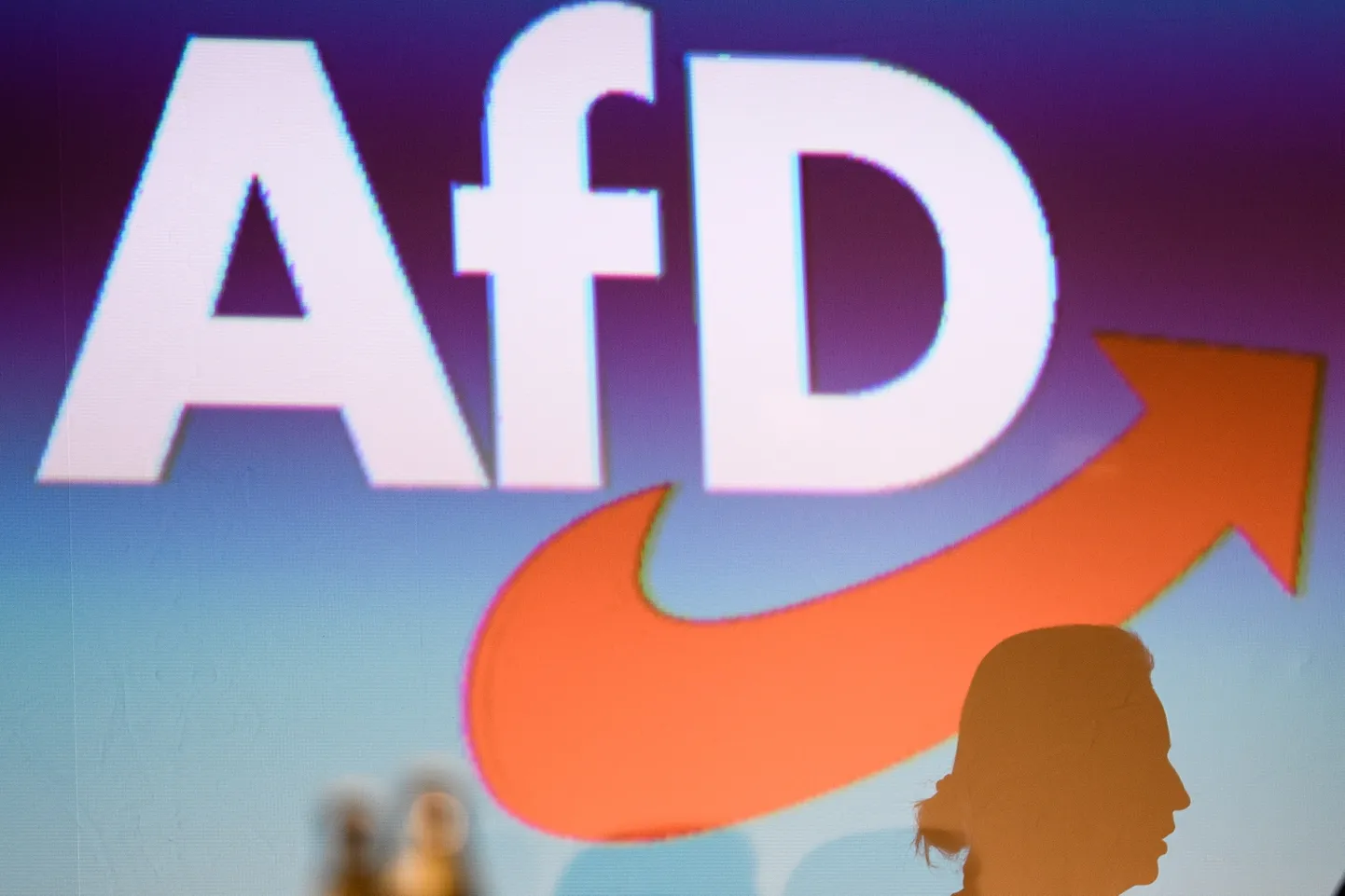 Saksamaa paremradikaalne erakond Alternatiiv Saksamaale (AfD) arutab võimalust lisada valimisprogrammi Saksamaa väljaviimine Euroopa Liidust.