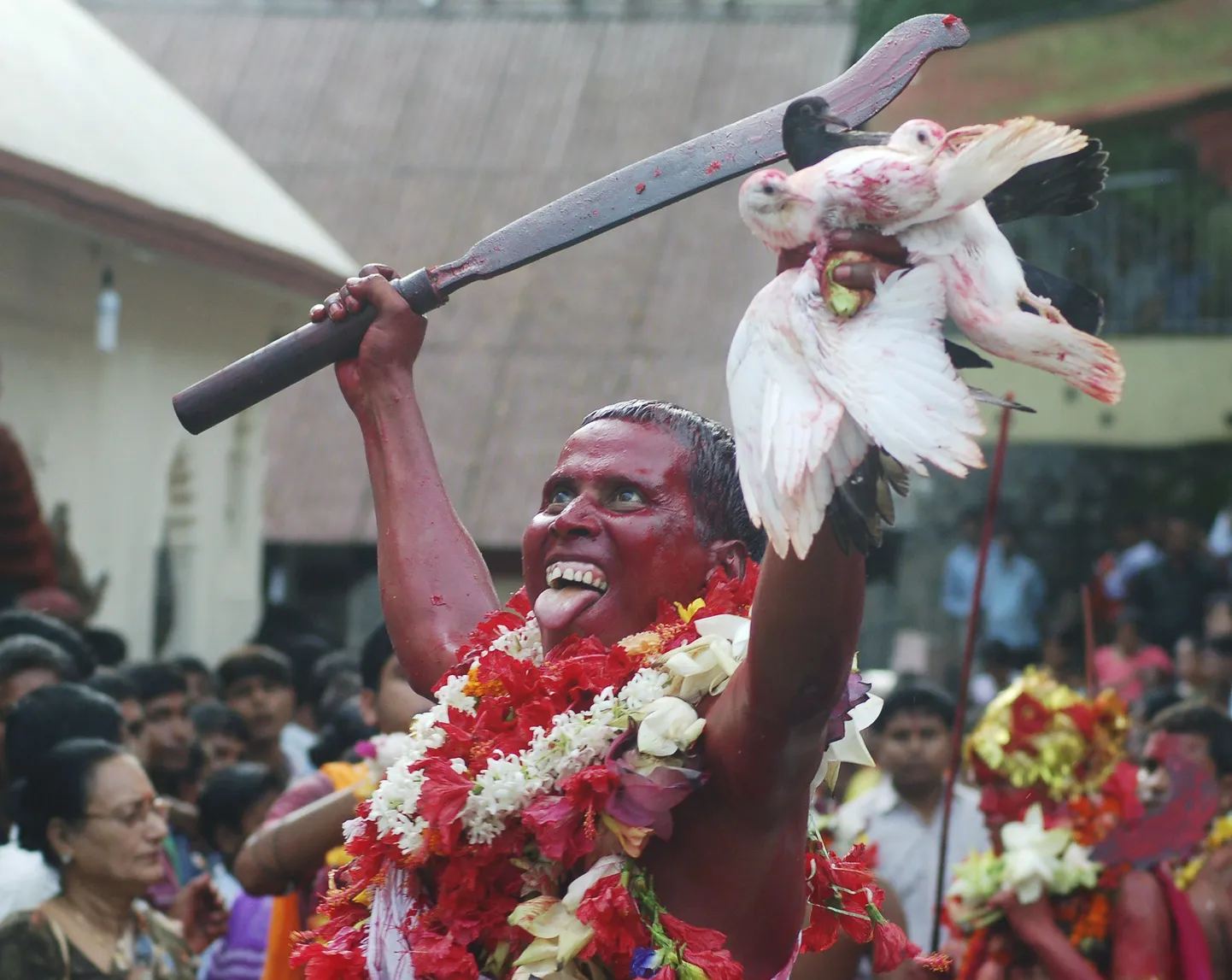 Hindu tantsimas maojumalannale ohverdatava tuviga.
