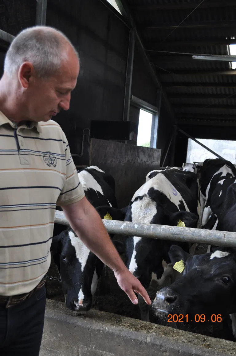 Urmas Põlluaasa juhitavas farmis on loomade eest hoolitsemisel eestlaste kõrval ametis ukrainlased, itaallane ja nigeerlane.