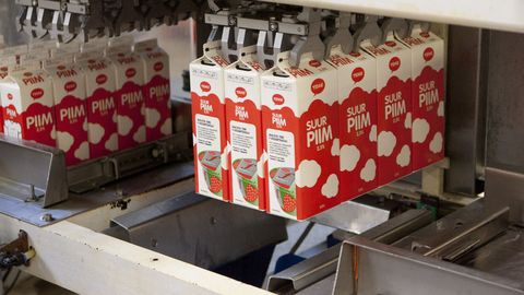 Закупочная цена на молоко выросла за год на 63,6 процента