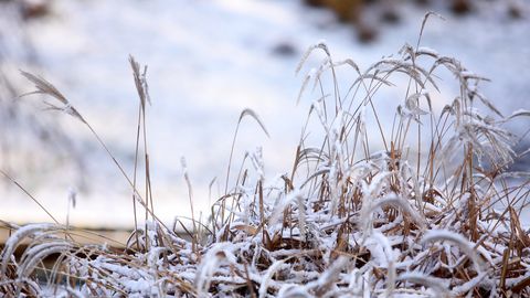 В праздничные выходные местами образуется снежный покров