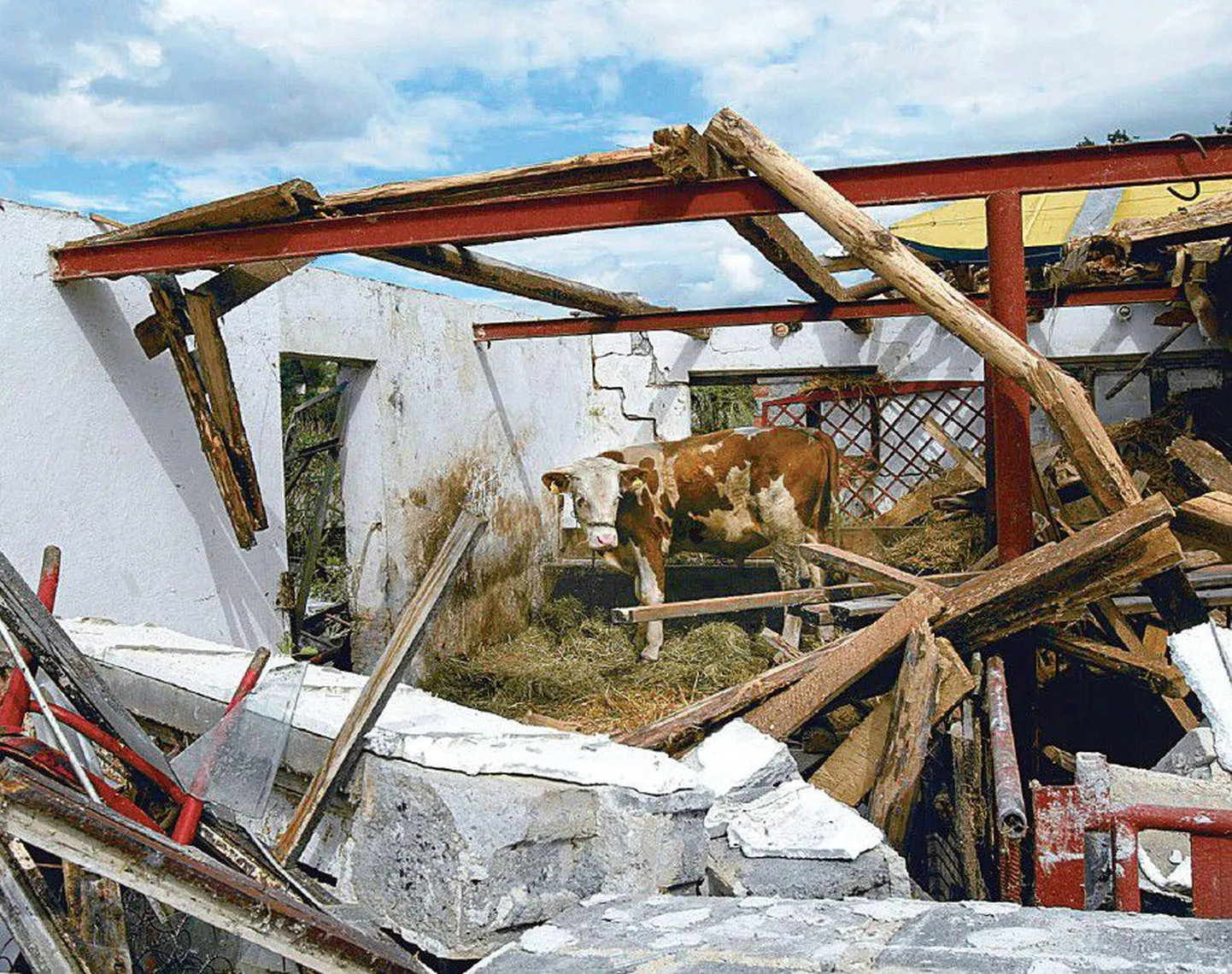 Mullikas üleeile seismas keset tuulispasa järel hävinud lauta Osia külas Poolas.