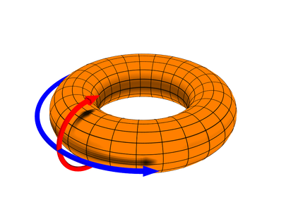 Magnetite tekitatud toroidne magnetväli on joonisel kujutatud punase noolega, poloidne sinisega.