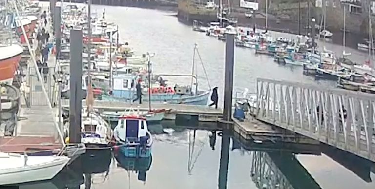 2019. aasta 12. aprillil teatas mitu inimest Suurbritannia politseile, et nad märkasid, kuidas Newlyni sadamas Cornwallis tulid vietnamlased jahilt maha ja suundusid kaubikusse.