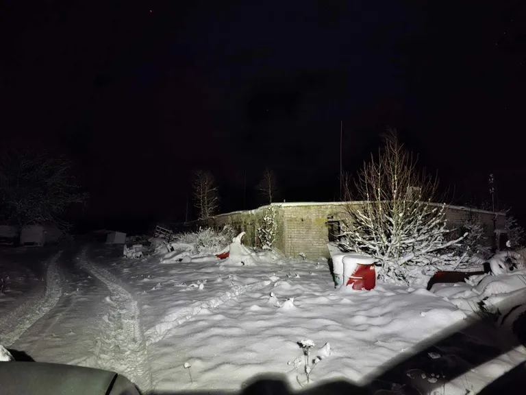 Hundi jälgi ajamas.