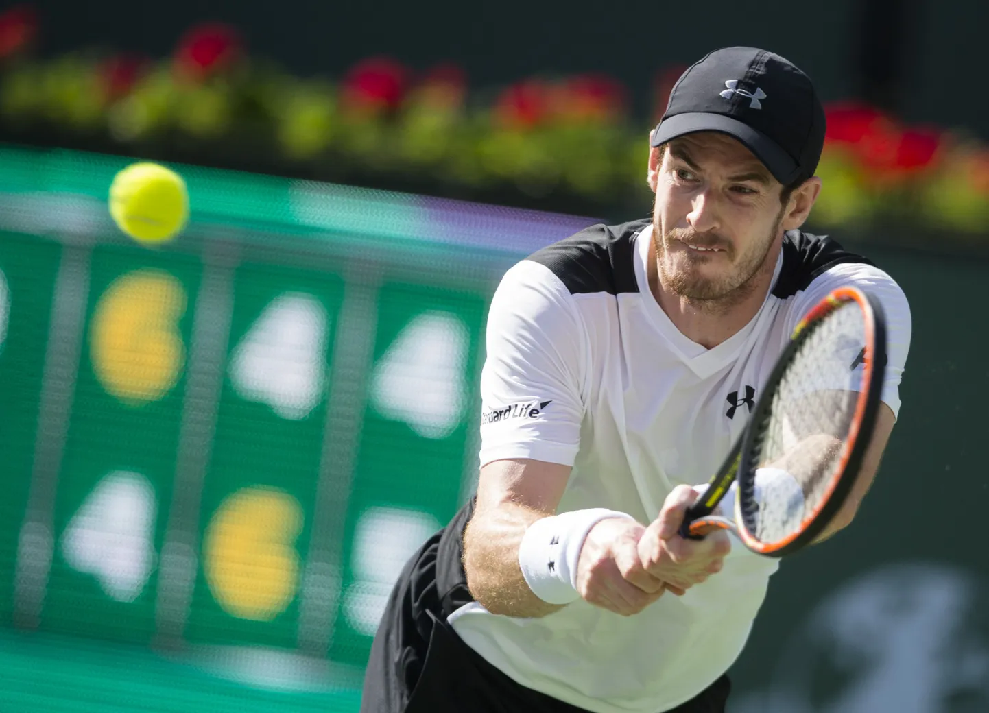 Andy Murray.