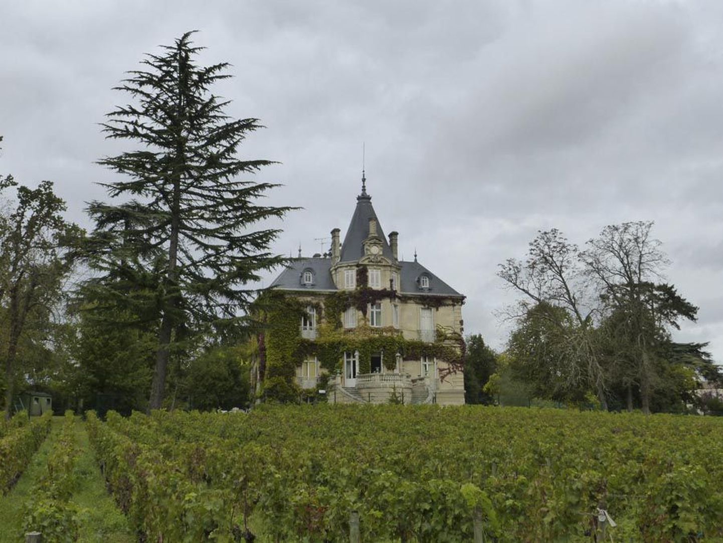 XIX sajandist pärit loss on küll veinimõisa osa, kuid tootmine käib peatselt valmis saavas veinikeldris.