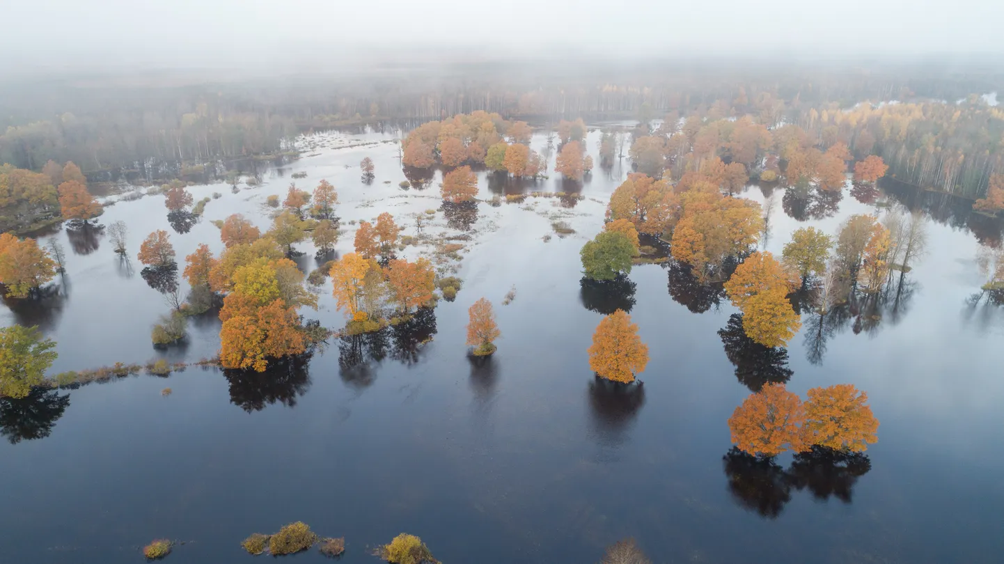 Viies aastaaeg jõudis Soomaale see aasta juba viiendat korda. Pilt on illustreeriv.