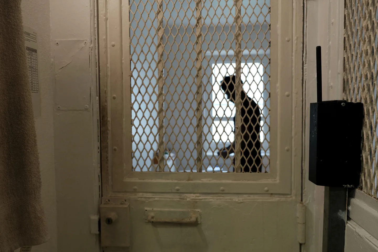 Заключенный в камере (иллюстративное фото).
