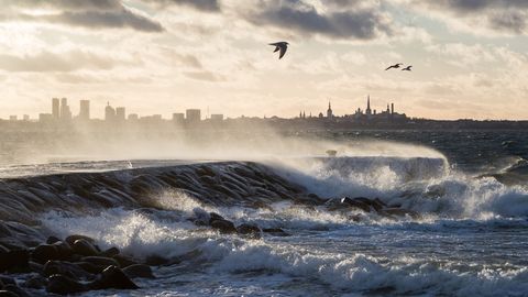 VIDEO ⟩ Mis juhtuks, kui Eestit tabaks hiiglaslik tsunami? Kõhedust tekitav simulatsioon näitab võimalikku hävingut
