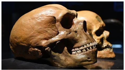 Homo sapiensi eellased elasid jääaja üle luues terve tööstuse