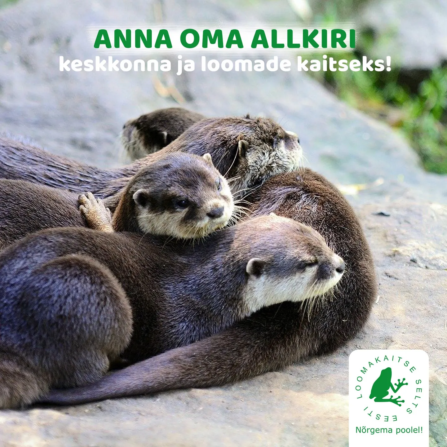 Anna oma hääl, et peatada vangistuses peetavate ohustatud liikide pidamist.