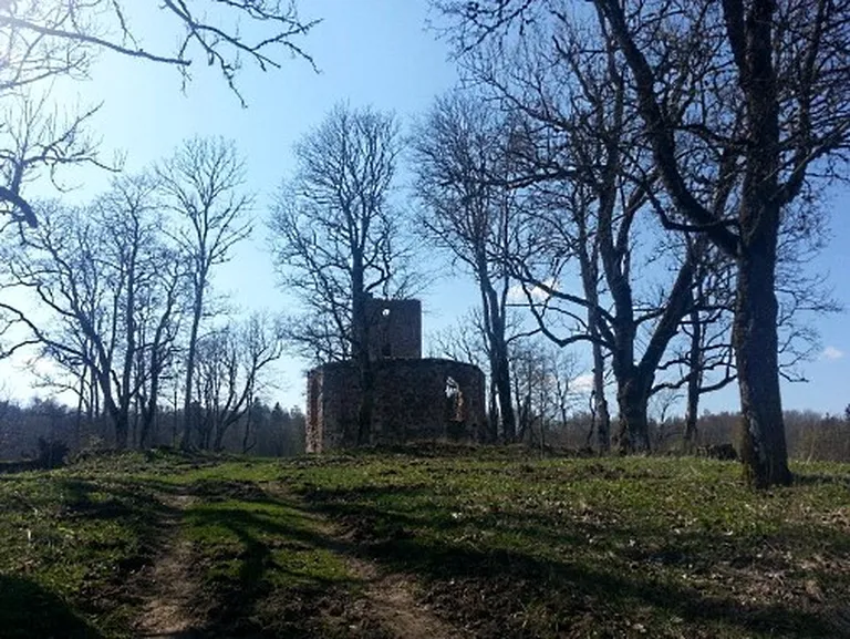 Фото статьи