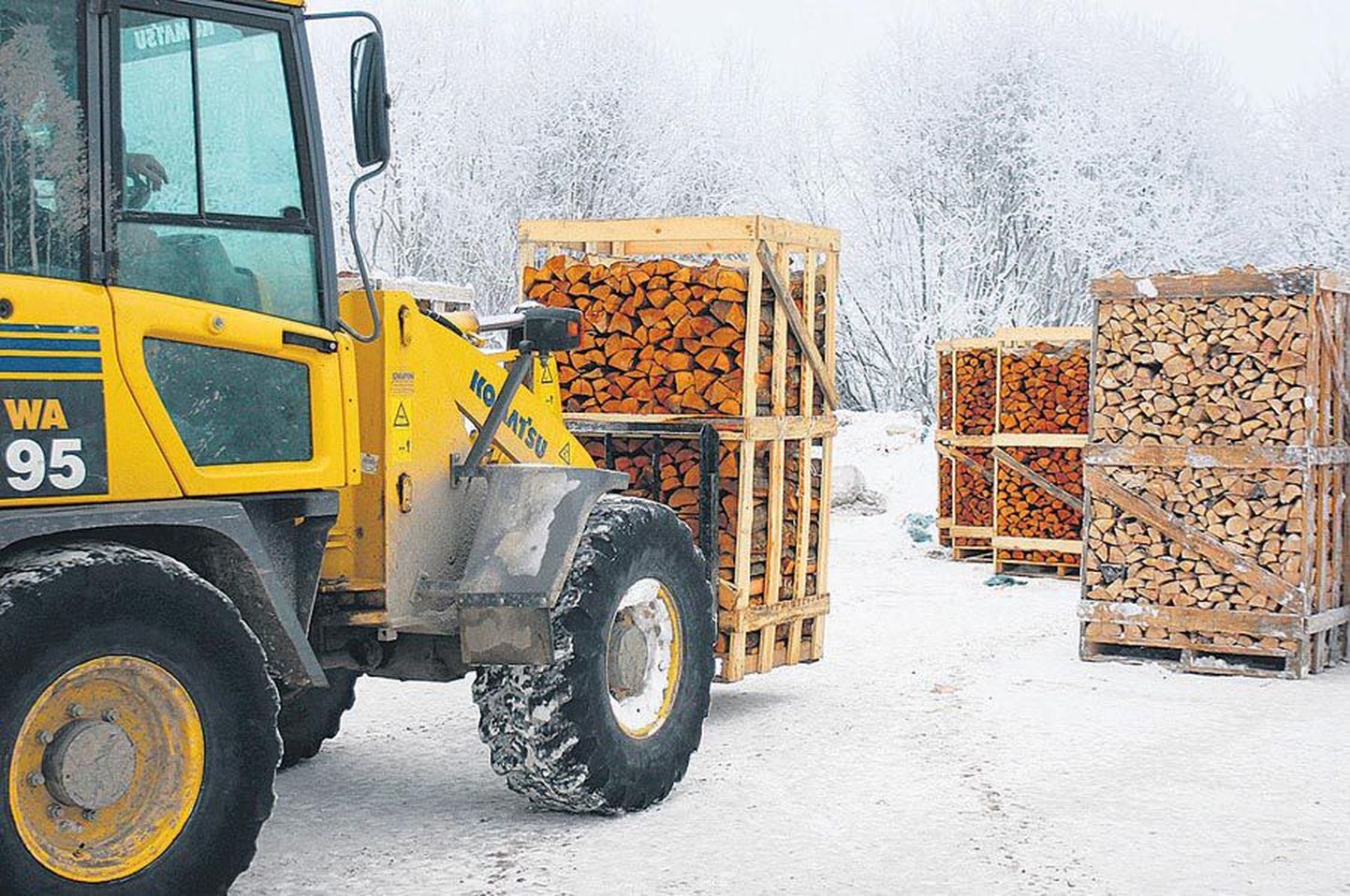 Kesk-Eesti küttekontoris pole külma talvega müük hüppeliselt siiski kasvanud, sest enamasti ostavad inimesed puid väikses koguses.