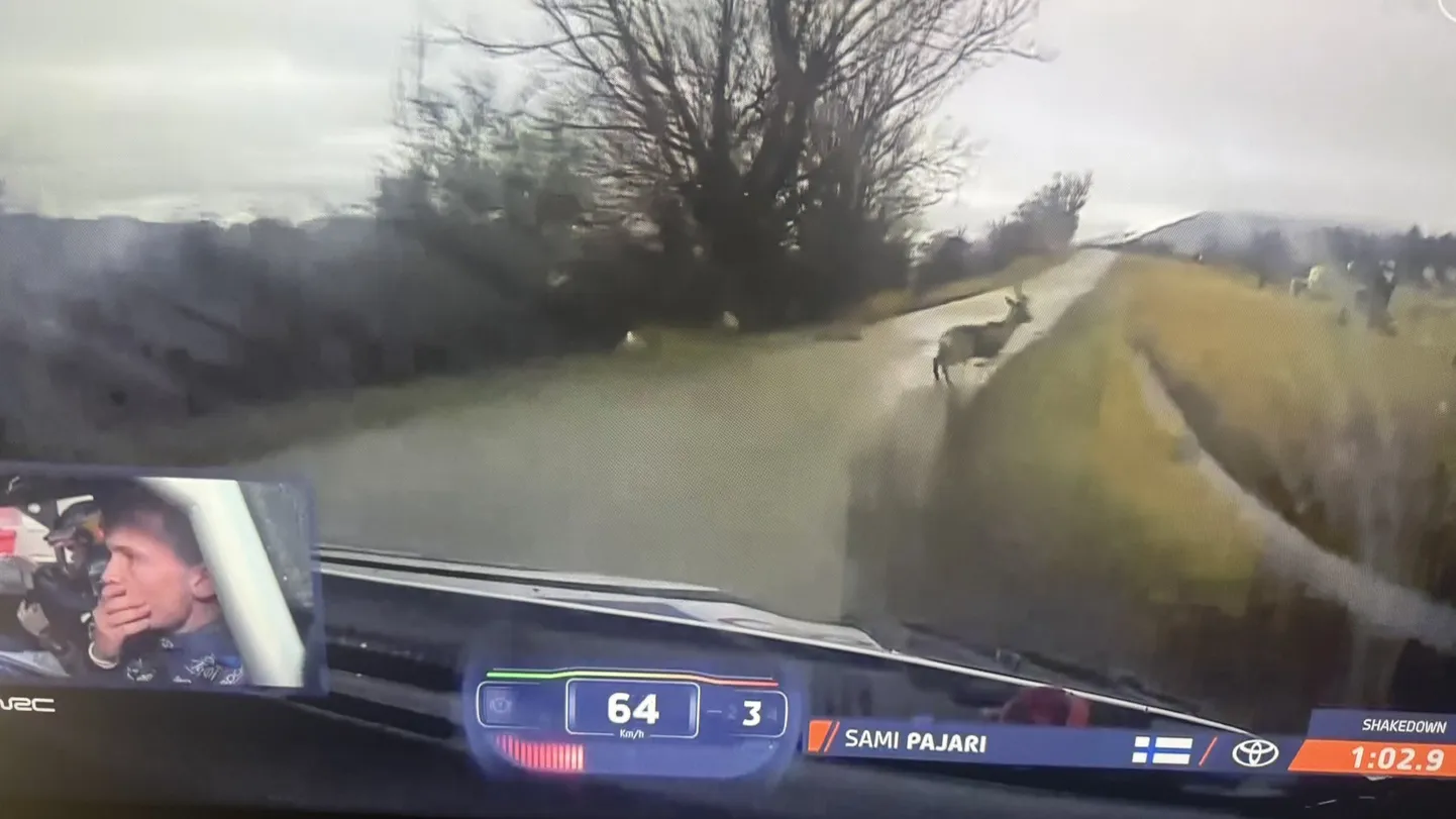 Sami Pajari elas üle äreva olukorra.