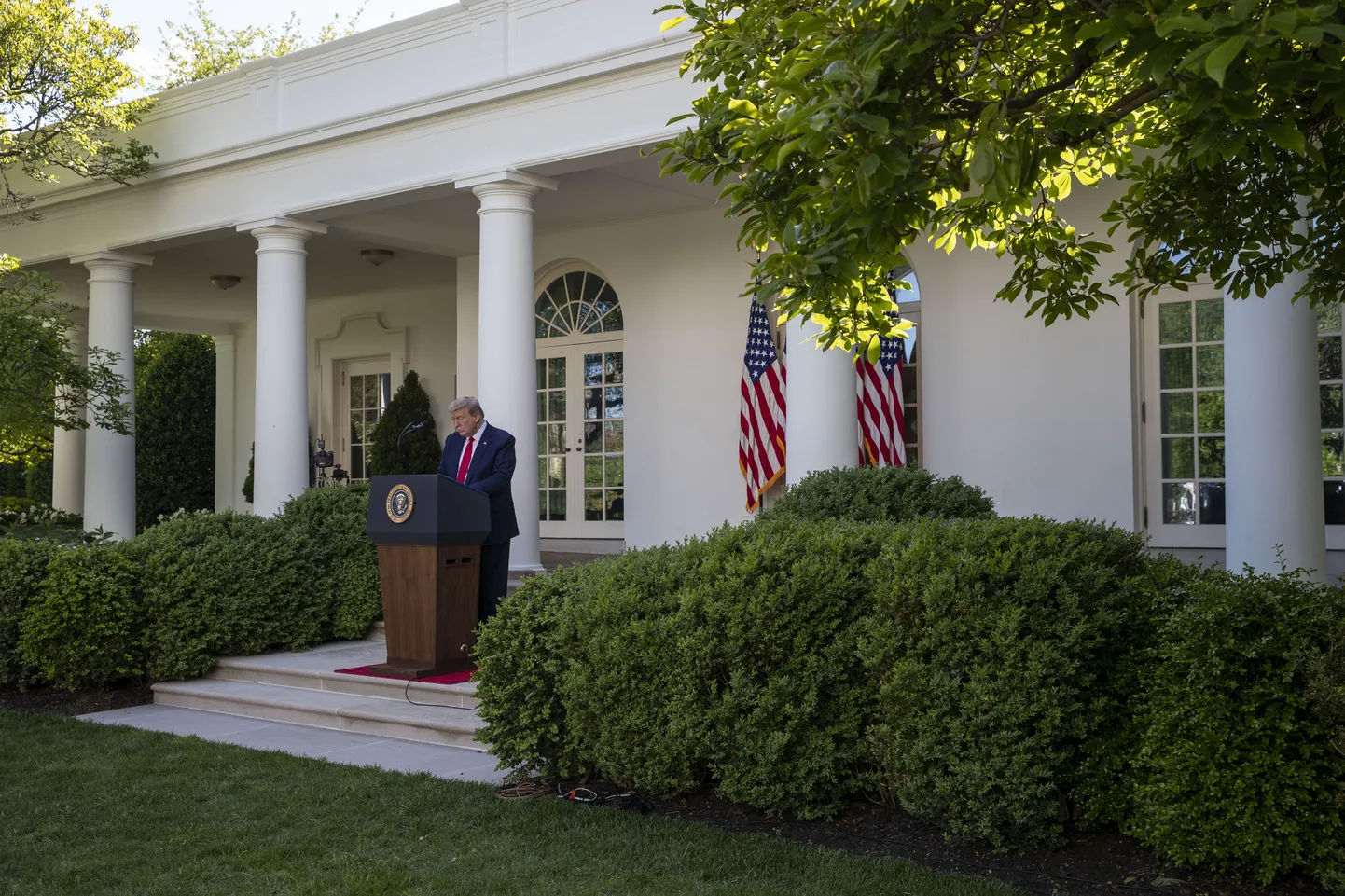 President Donald Trump Valge Maja roosiaias.