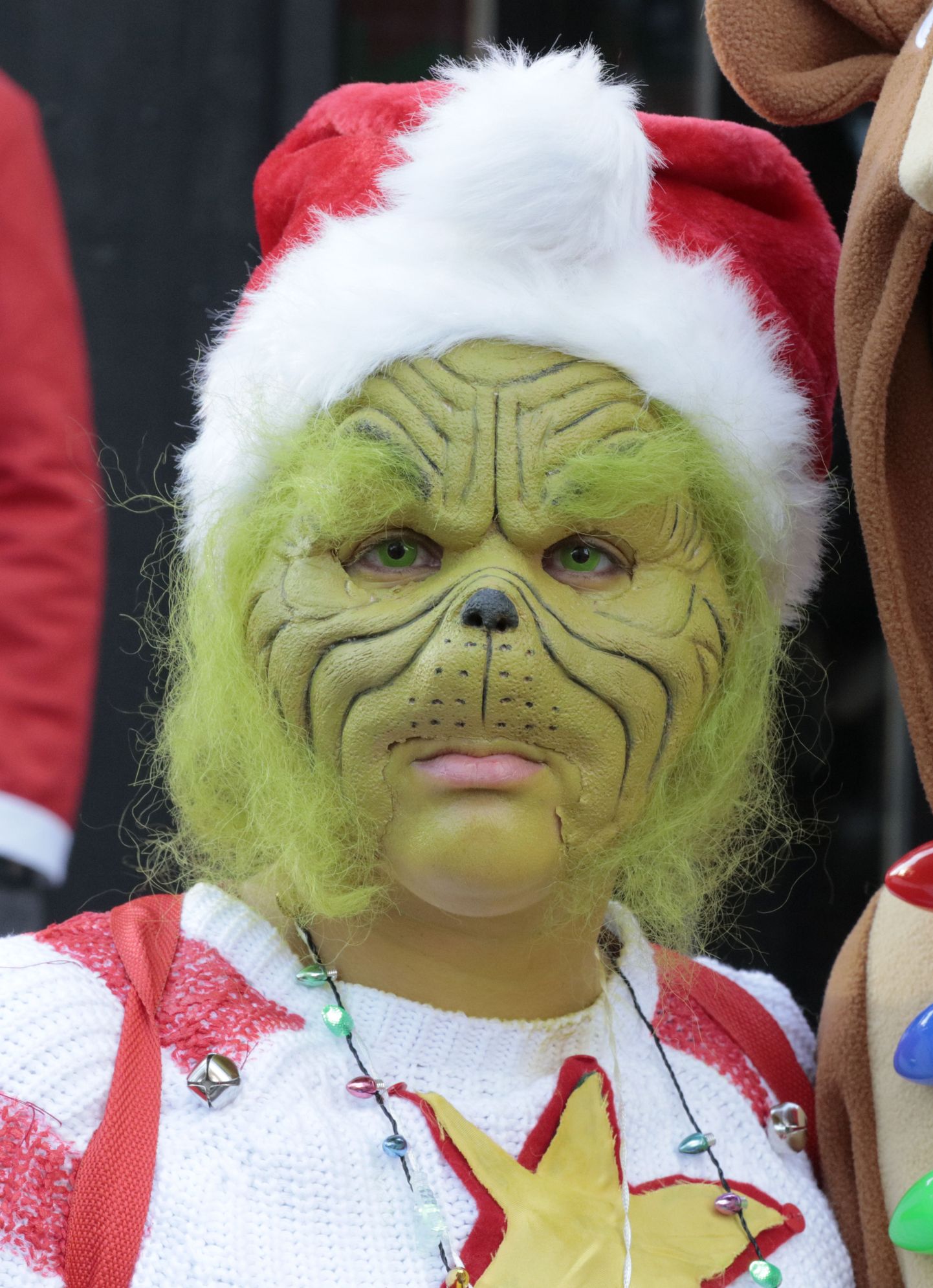 Jõulud varastanud muinasjututegelane Grinch.