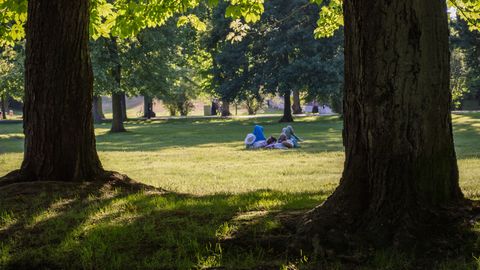 AT neierosina kasācijas tiesvedību par arhitektes pieteikumu pret SPA būvniecību Liepājā