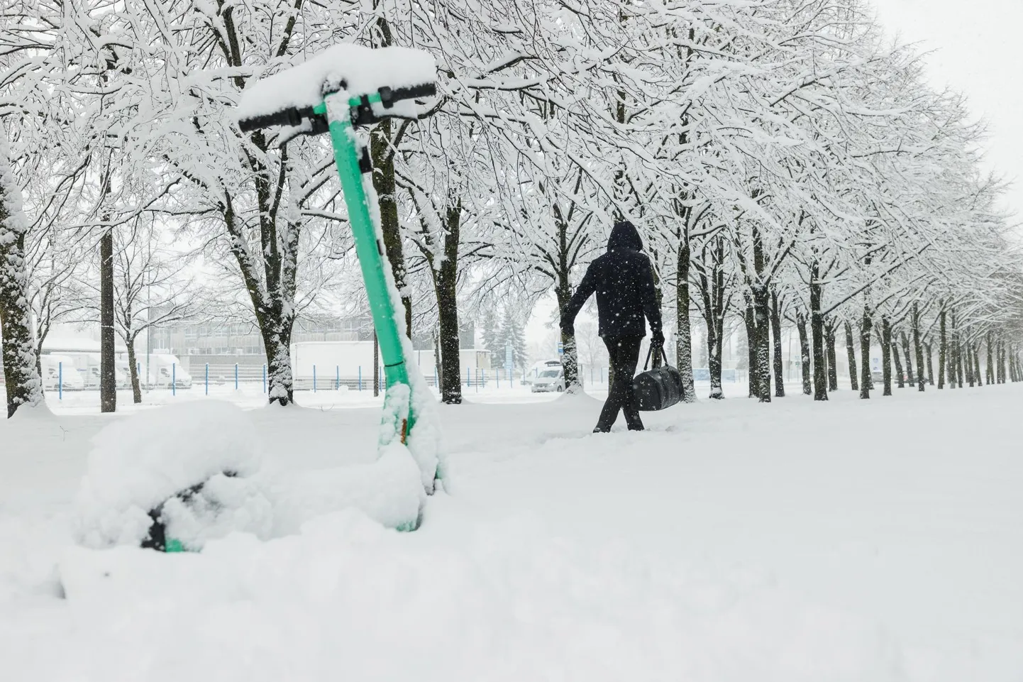 Jüripäeva sadu tõi Tallinnas maha enam kui 10 sentimeetri paksuse lumekihi.