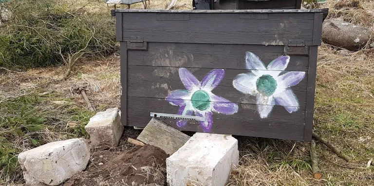 Медведь сдвинул улей