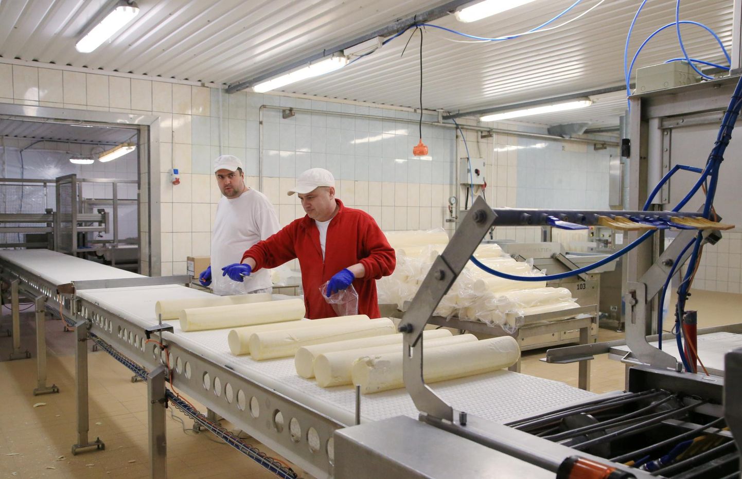 Toiduainetööstuses on töökäsi alati tarvis, paraku ei taha teeninduses või turismi alal elatist teeninud inimesed sageli toiduainesektorisse minna, kirjutab Eesti toiduainetööstuse liidu juhataja Sirje Potisepp.