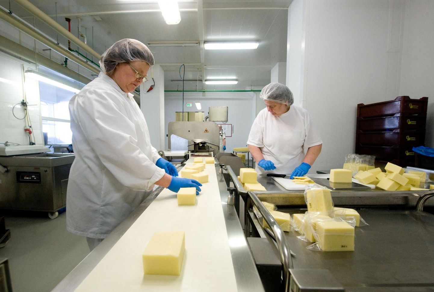 Saaremaa piimatööstuses oli elektrikatkestuse ajal tootmises juust, mis läks mahakandmisele.