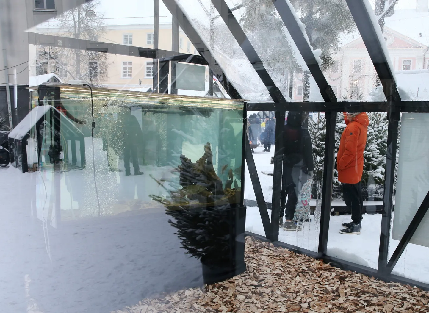 Kalade juurde majakesse külastajaid ei lasta, vaid jõe-ja järveelanike tuleb uudistada läbi klaasi.