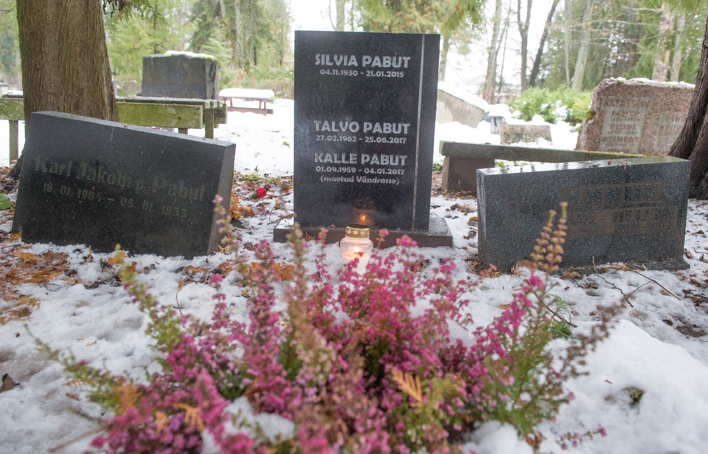 Talvo Pabuti viimne puhkepaik Raadi kalmistul. Hauakivil on ka tema venna Kalle ja ema Silvia sünni ja surma kuupäev. Ema suri 2015. aasta jaanuaris, vend tänavu jaanuaris.