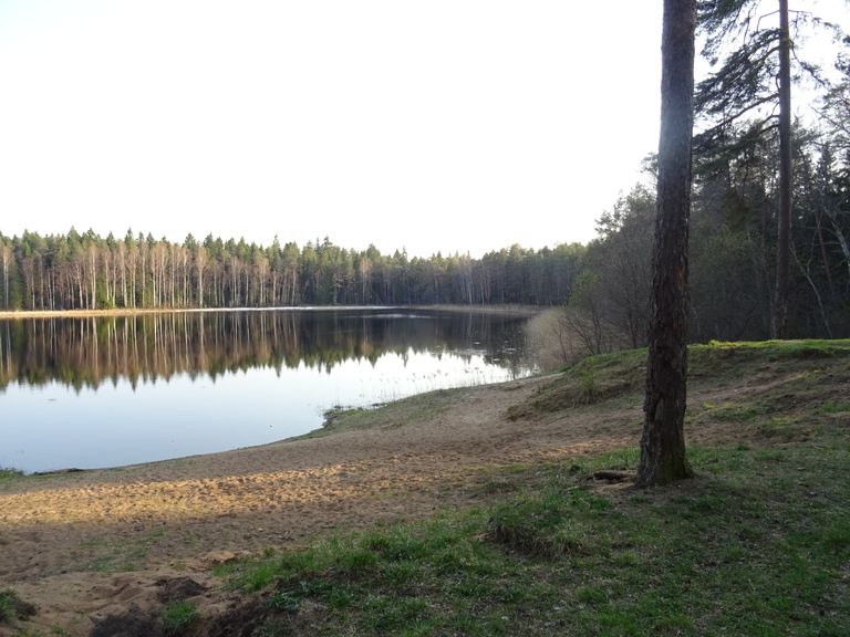 RMK puhkekoht Kurtna järvistus Rääkjärve ääres.