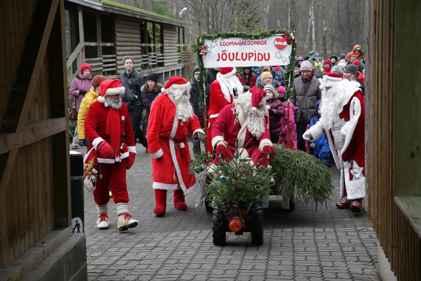 Laupäeva lõunal külastasid Tallinna loomaaeda jõuluvanad, kes kostitasid sealseid elanikke meelepärase toidupoolisega või rõõmustasid neid mänguasjaga