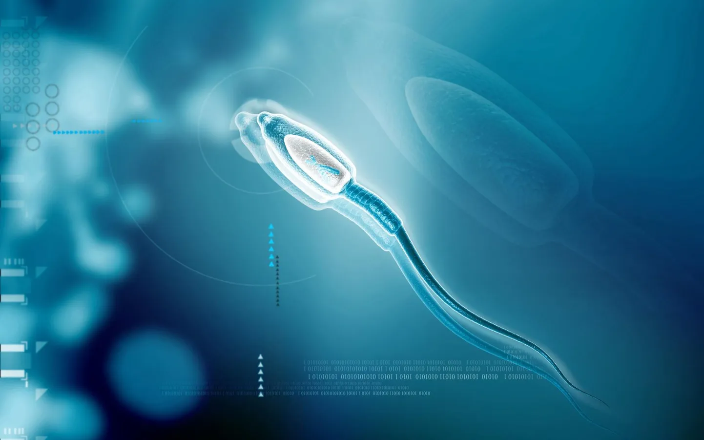 Spermatosoid on endiselt üheks bioloogia suurimaks mõistatuseks.