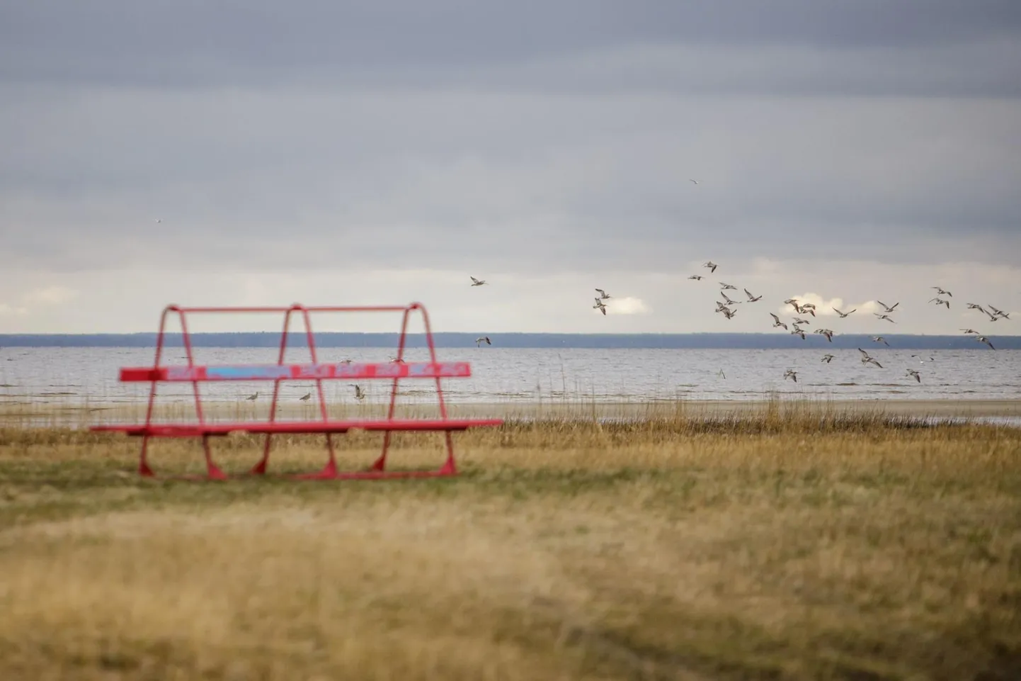 Pärnu Raeküla rand sai terviseametilt halba veekvaliteeti näitava märgise viiendat aastat järjest, mis tähendab, et seal antakse alaline soovitus mitte supelda või keelatakse see üldse.