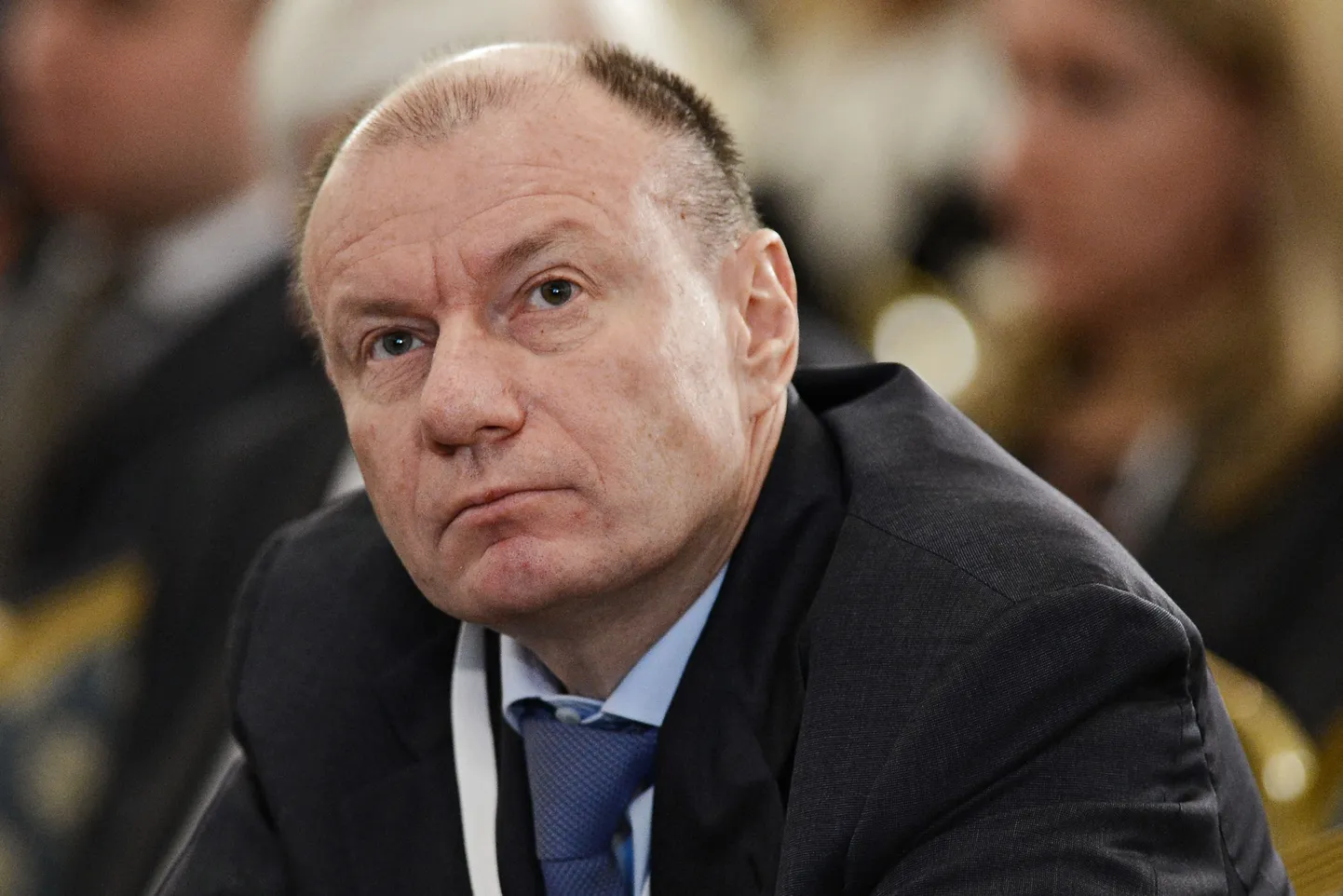 Vladimir Potanin