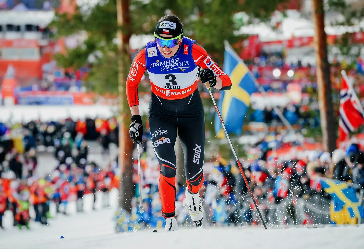 Justyna Kowalczyk.