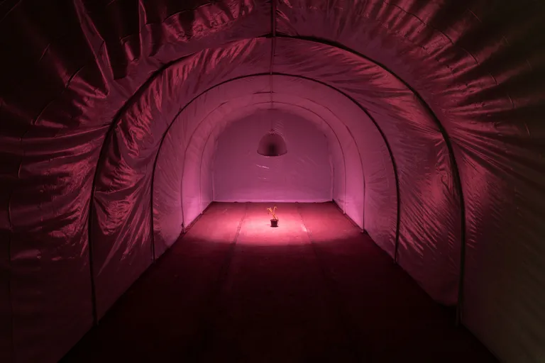 Dénes Farkas «How-to-calm-yourself-after-seeing-a-dead-body Techniques»