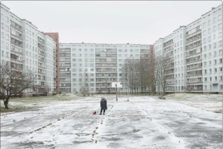Фото статьи