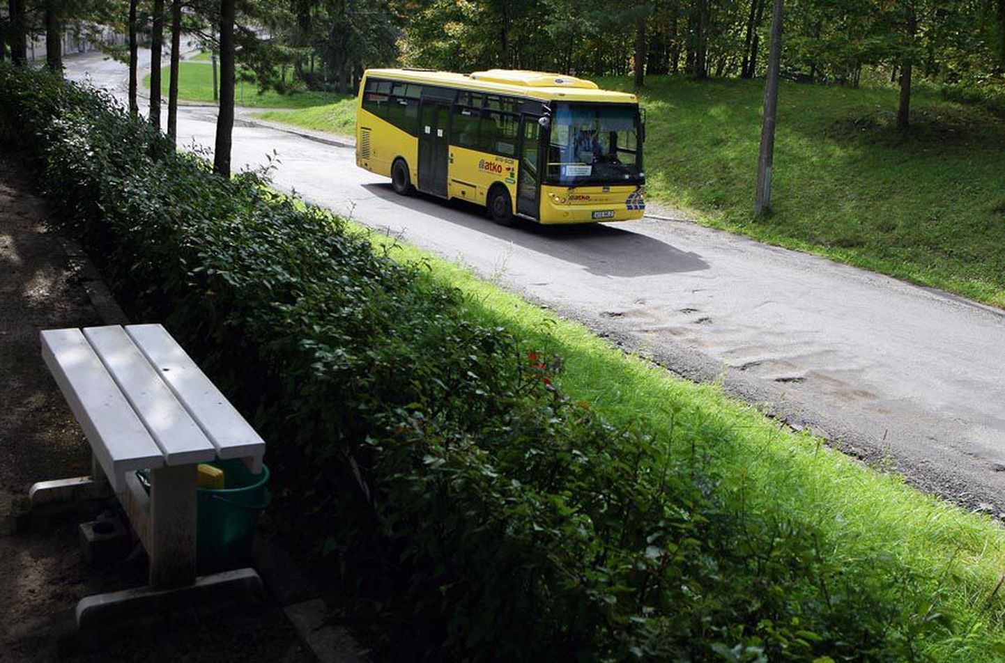 Lisaks Metsakalmistul käijatele valmistab Oja tee trööstitu seisukord peavalu bussijuhtidele, kes sealt tihti läbi peavad logistama.