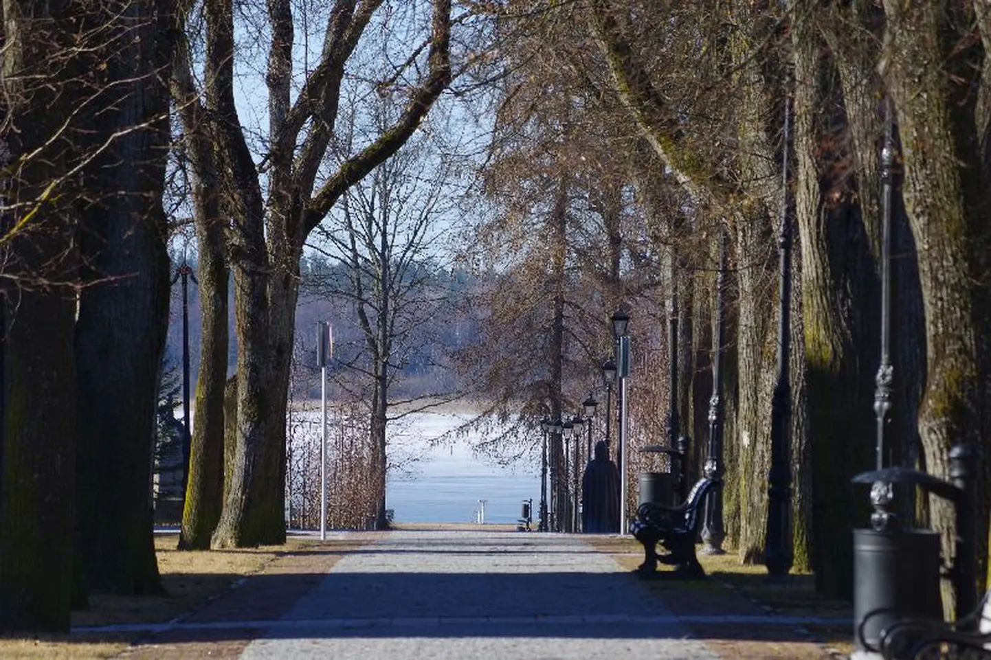 Võru Katariina allee.