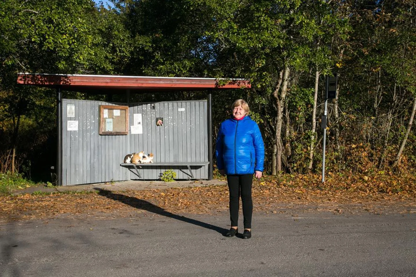 Esna külavanem Ene Mikk seisab teleseriaalist «Naabriplika» üle Eesti tuntud bussipeatuses koos kassidega, kes on tavaliselt platsis ka võttepäevadel.