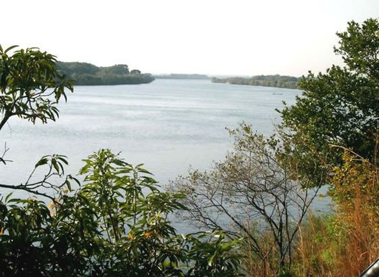 Zambezi jõgi