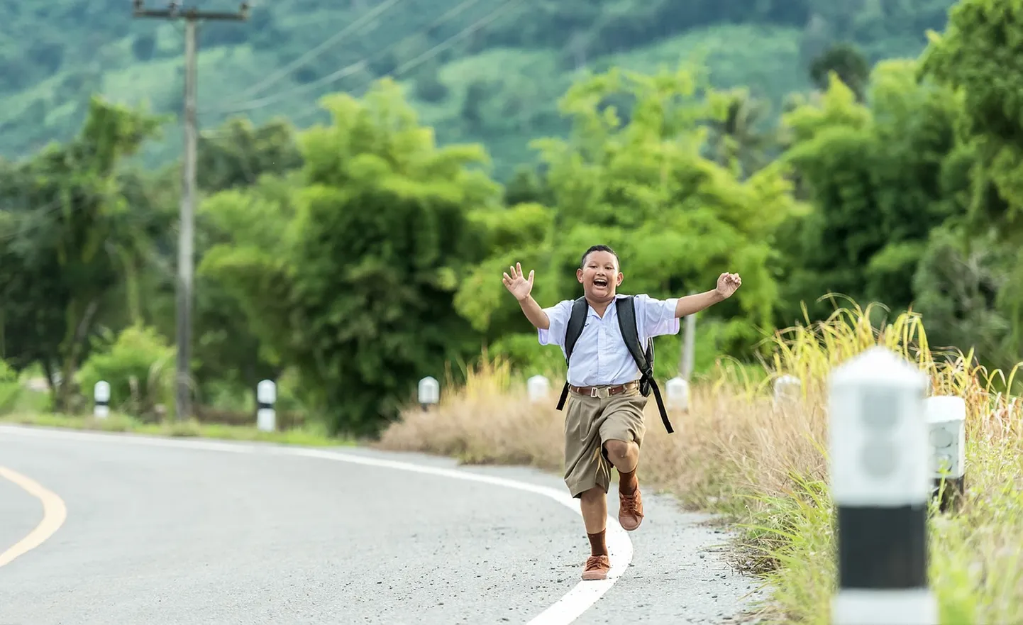 Artikli foto